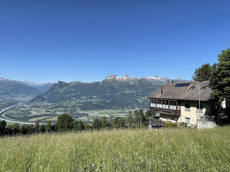 Alpine Adventures